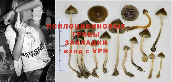 кокаин премиум Козельск