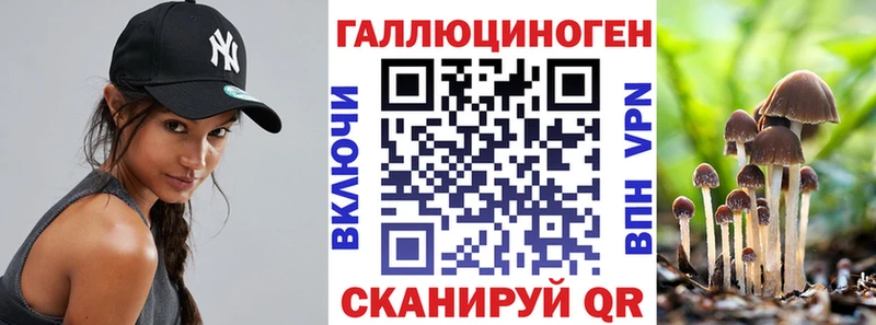 Купить закладки Бородино Псилоцибиновые грибы прущие грибы