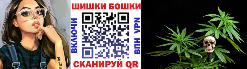 Купить закладки  Бородино  Канабис индика 